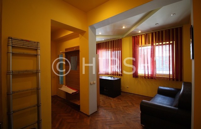 apartamente de vanzare tineretului (10)